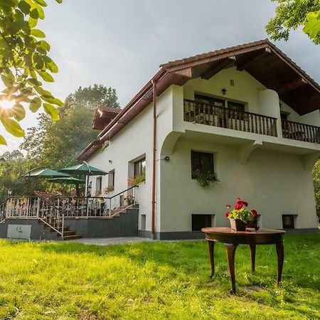 Casa Din Plai Bed & Breakfast Provita de Sus Dış mekan fotoğraf